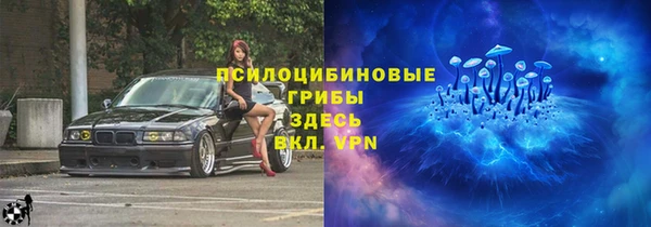 мяу мяу мука Алзамай